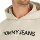 Tommy Hilfiger Ανδρικό φούτερ Regular Bold Classics Hoodie